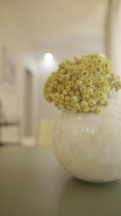 City Class Accommodation Zadar Luaran gambar